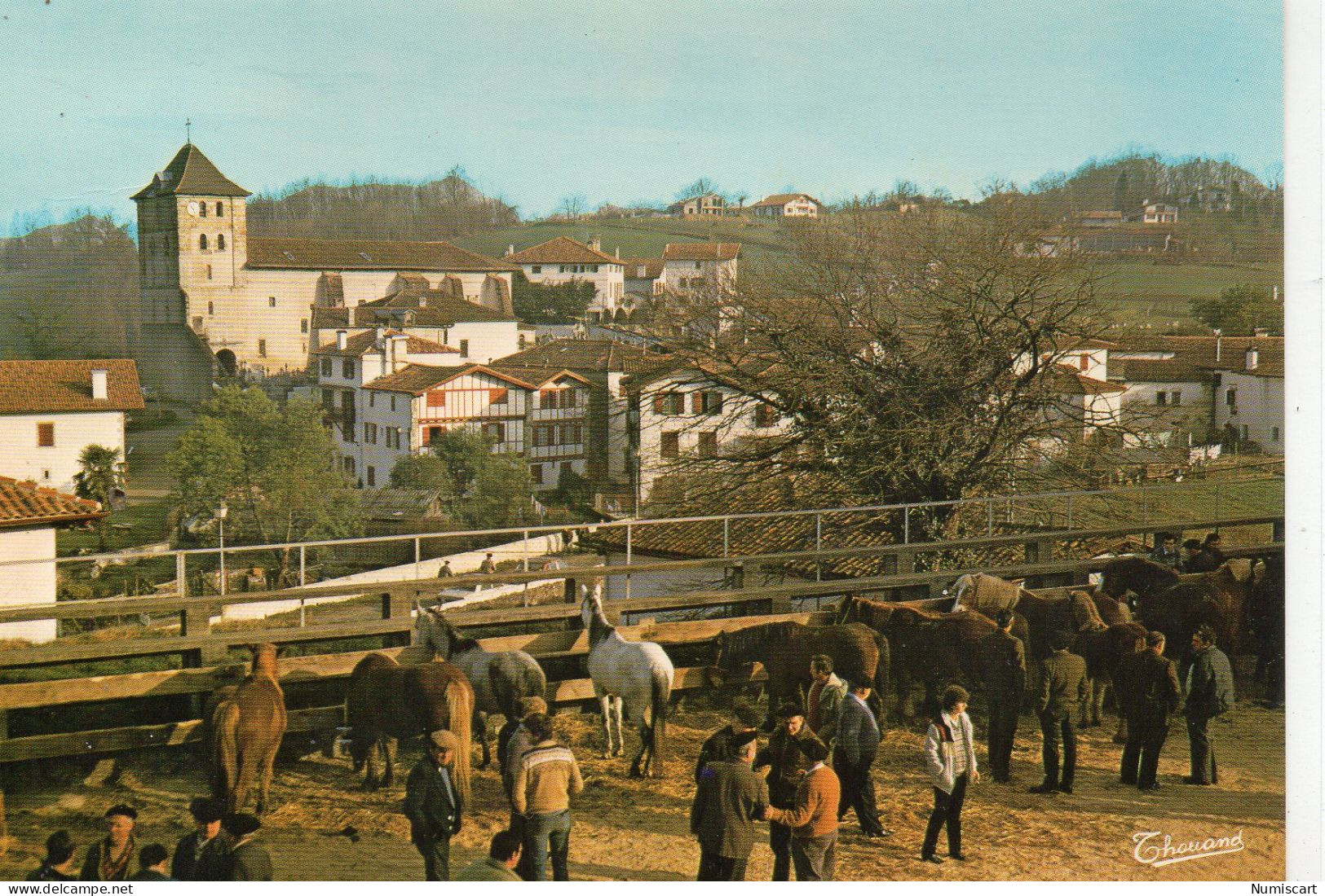 Espelette Animée Foire Aux Pottoks Chevaux - Espelette