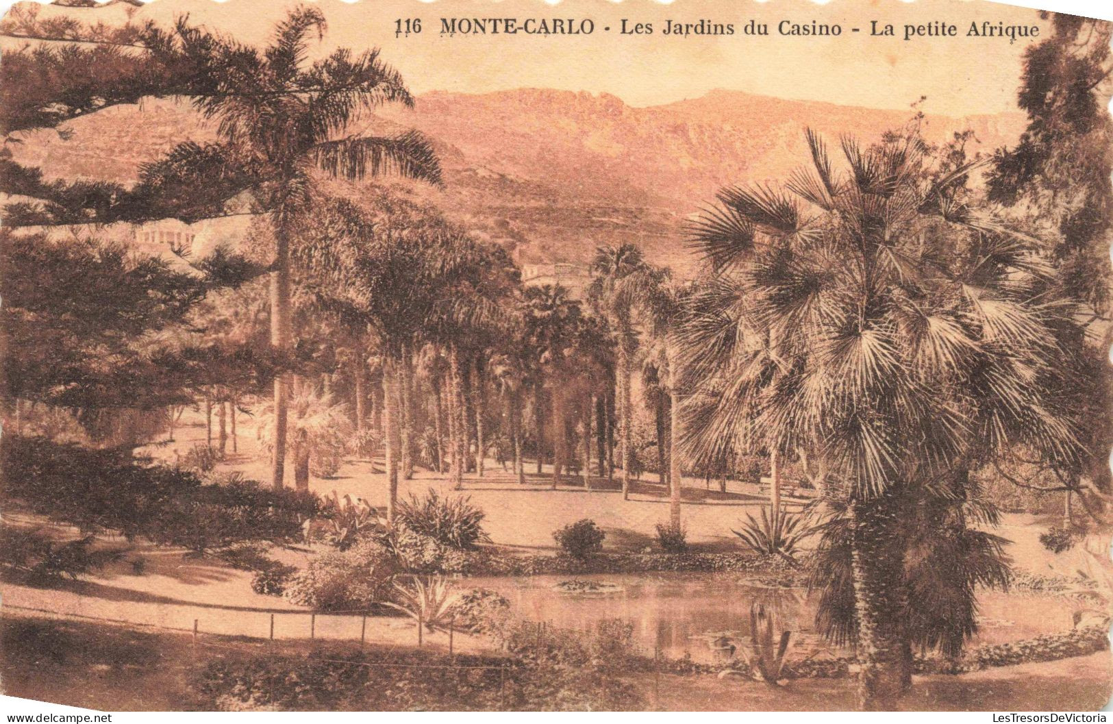MONACO - Monte-Carlo - Les Jardins Du Casino - La Petite Afrique - Carte Postale Ancienne - Monte-Carlo
