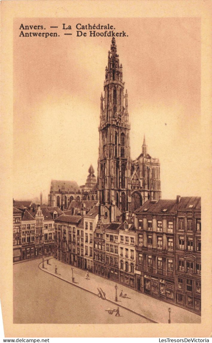 BELGIQUE - Antwerpen - La Cathédrale - Carte Postale Ancienne - Antwerpen