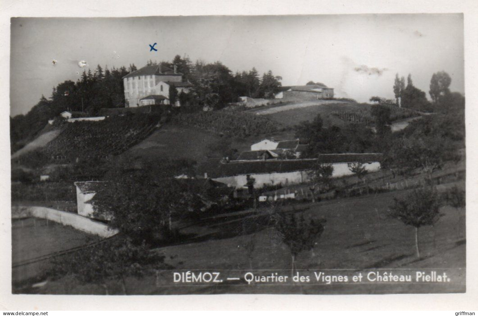 DIEMOZ QUARTIER DES VIGNES ET CHATEAU PIELLAT 1946 CPSM 9X14 - Diémoz