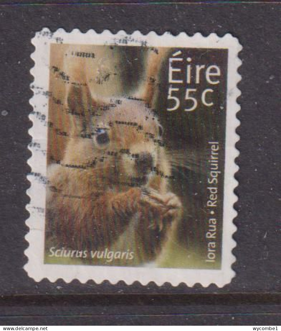 IRELAND  -  2011  Red Squirrel  55c  Self Adhesive  Used As Scan - Oblitérés