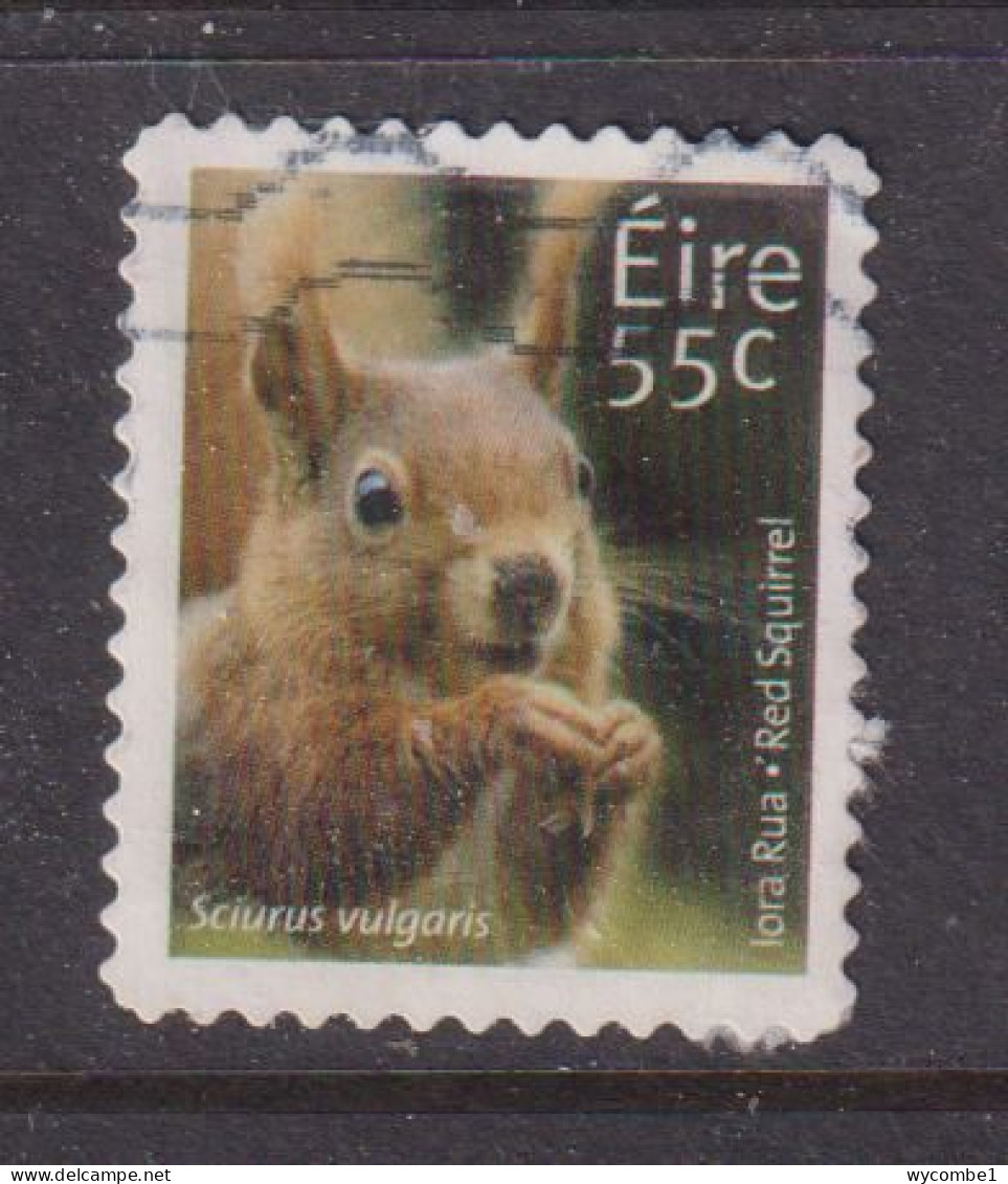 IRELAND  -  2011  Red Squirrel  55c  Self Adhesive  Used As Scan - Used Stamps