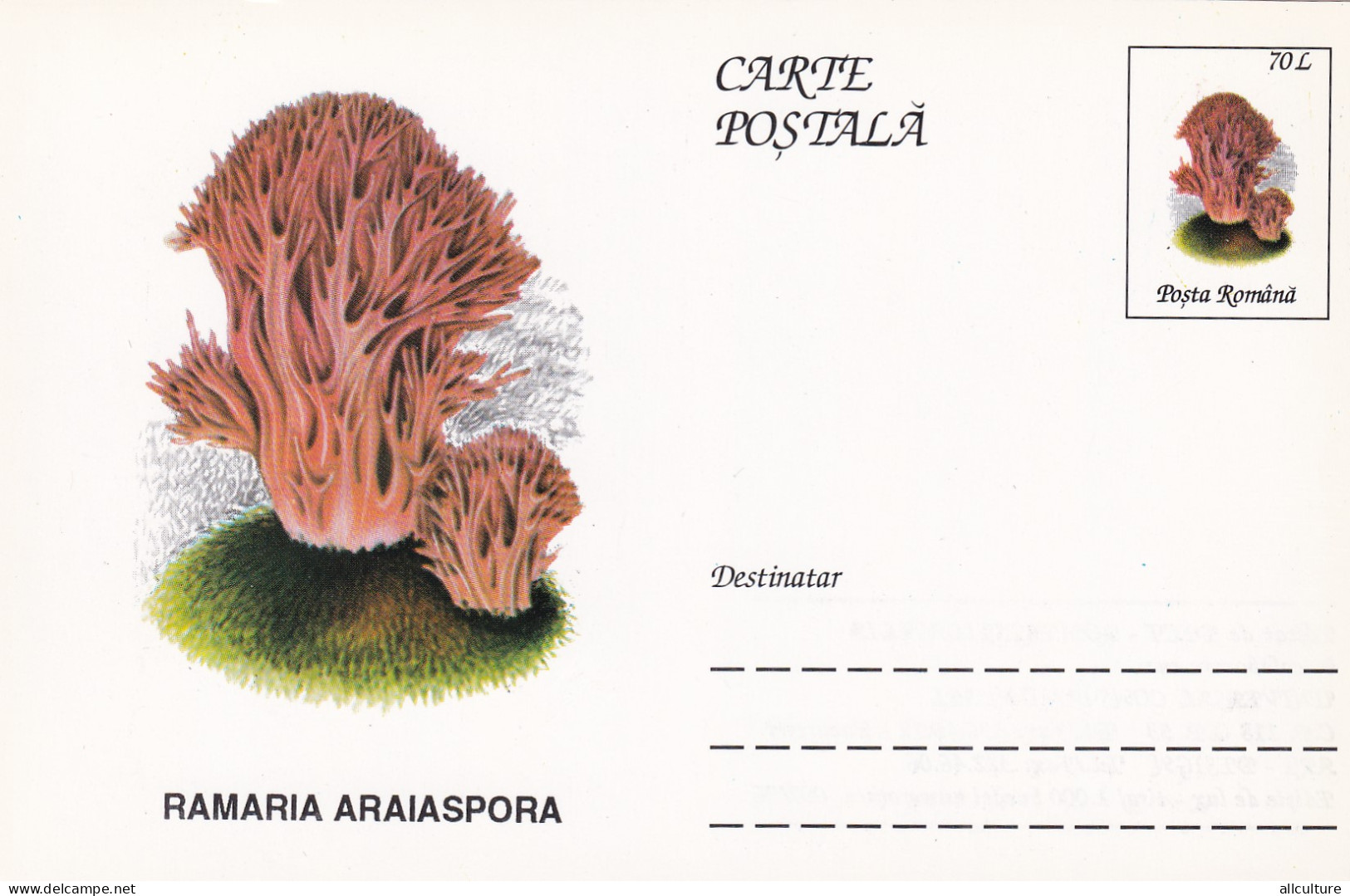 A23261 -Mushrooms Champignons  "RAMARIA ARAIASPORA\" Entier Postal,stationery Card  1996  - Champignons
