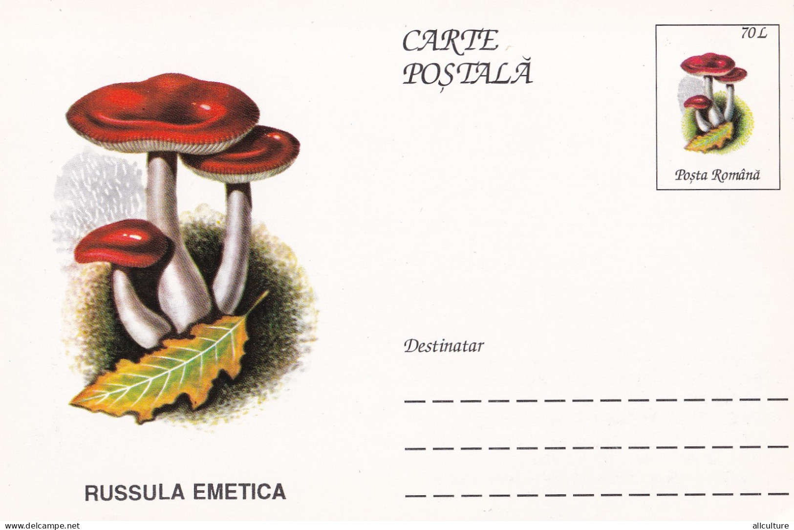 A23266   - MUSHROOM  Champignons  "RUSSULA EMETICA  " Entier Postal,stationery Card  1996  - Champignons