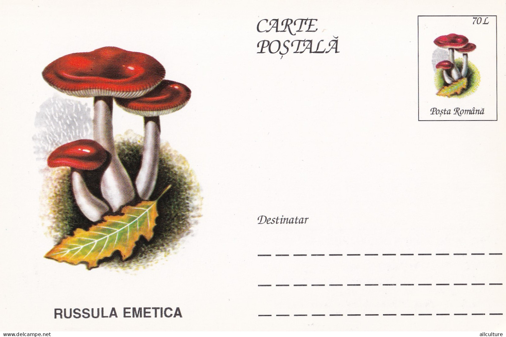 A23266   - MUSHROOM  Champignons  "RUSSULA EMETICA  " Entier Postal,stationery Card  1996  - Hongos