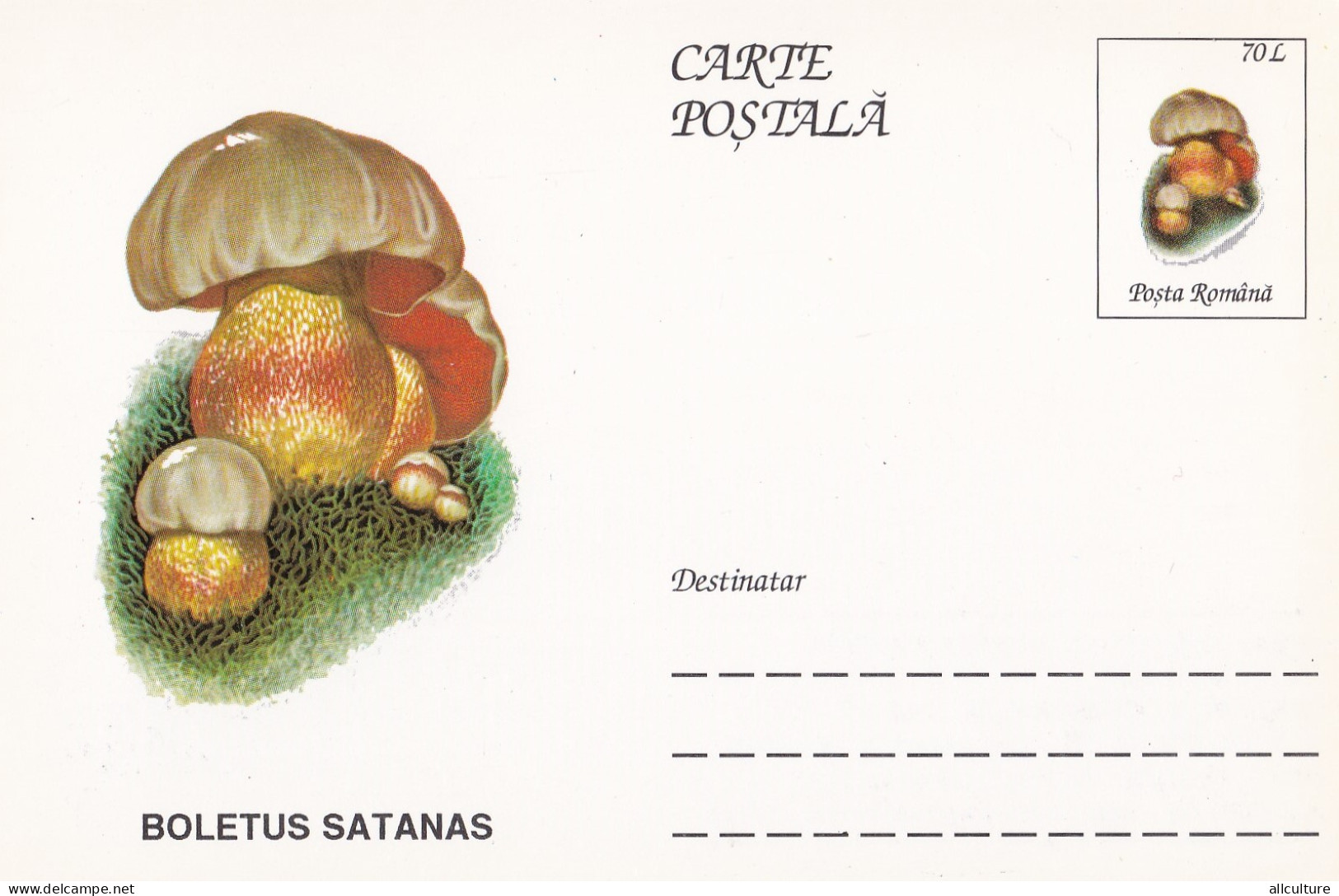 A23275   - MUSHROOM  Champignons  "BOLETUS SATANAS   " Entier Postal,stationery Card  1996  - Champignons