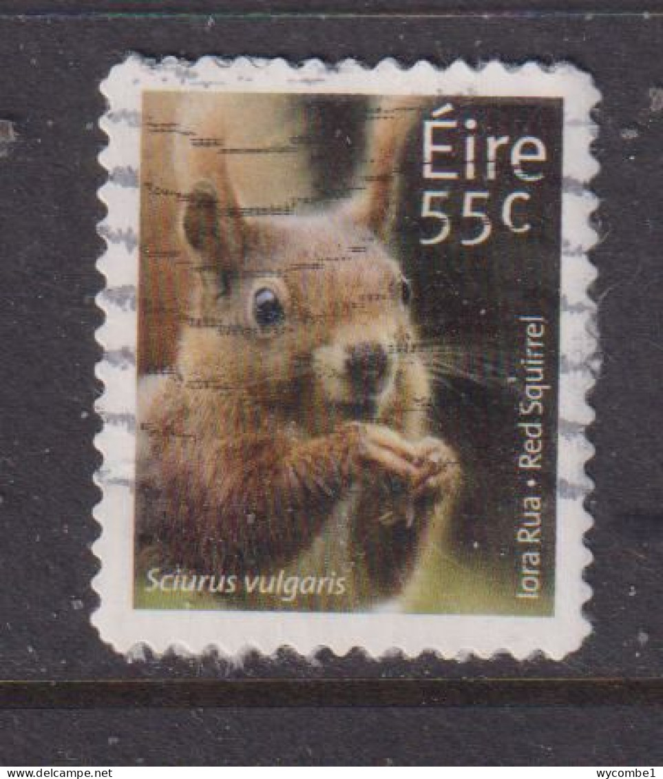 IRELAND  -  2011  Red Squirrel  55c  Self Adhesive  Used As Scan - Oblitérés