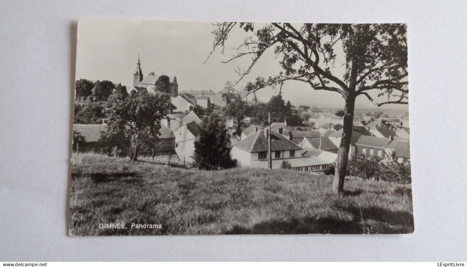 GIMNEE Panorama PK CP Province De Namur Commune Doische Belgique Carte Postale Post Kaart Postcard - Doische