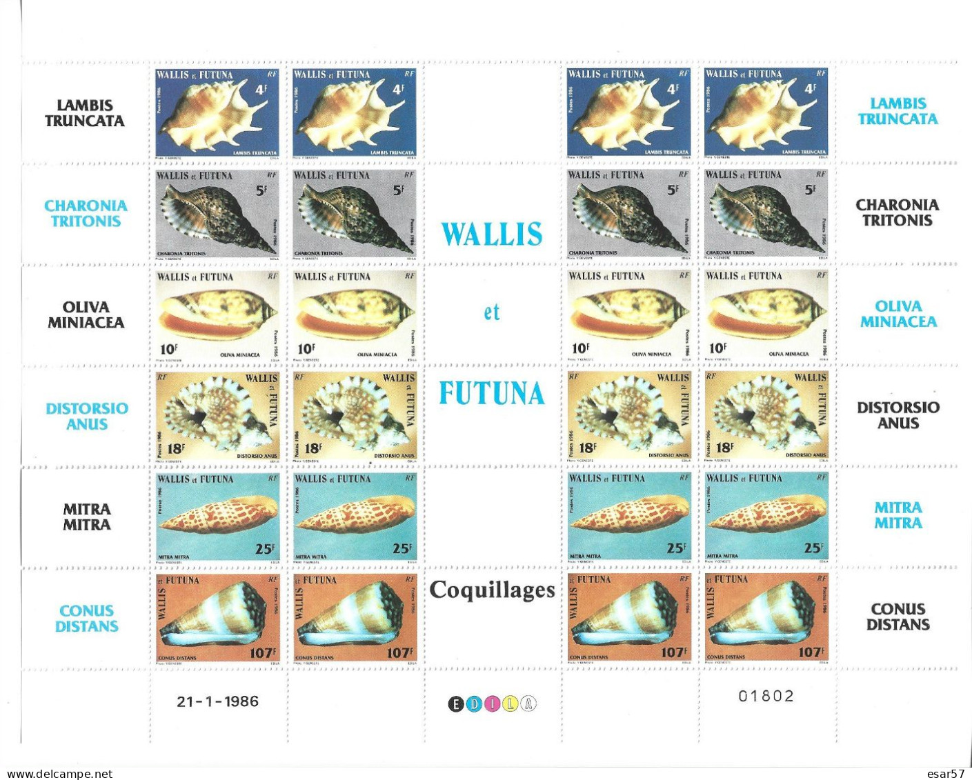 WALLIS Et FUTUNA - 1986  FEUILLE Timbres N° 337 à 342 Coquillages  Neufs ** - Nuovi