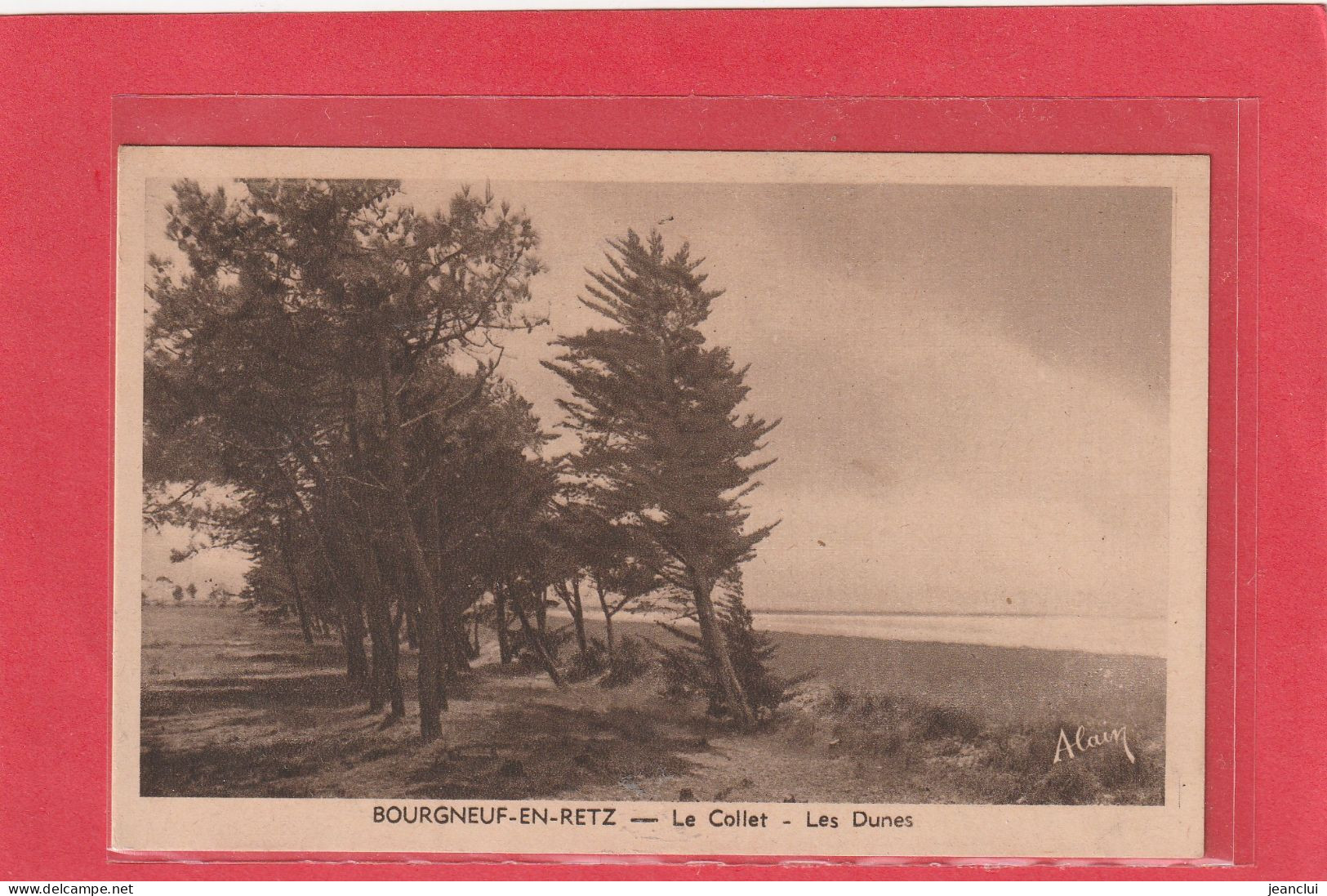 BOURGNEUF-EN-RETZ . LE COLLET . LES DUNES . CARTE NON ECRITE - Bourgneuf-en-Retz