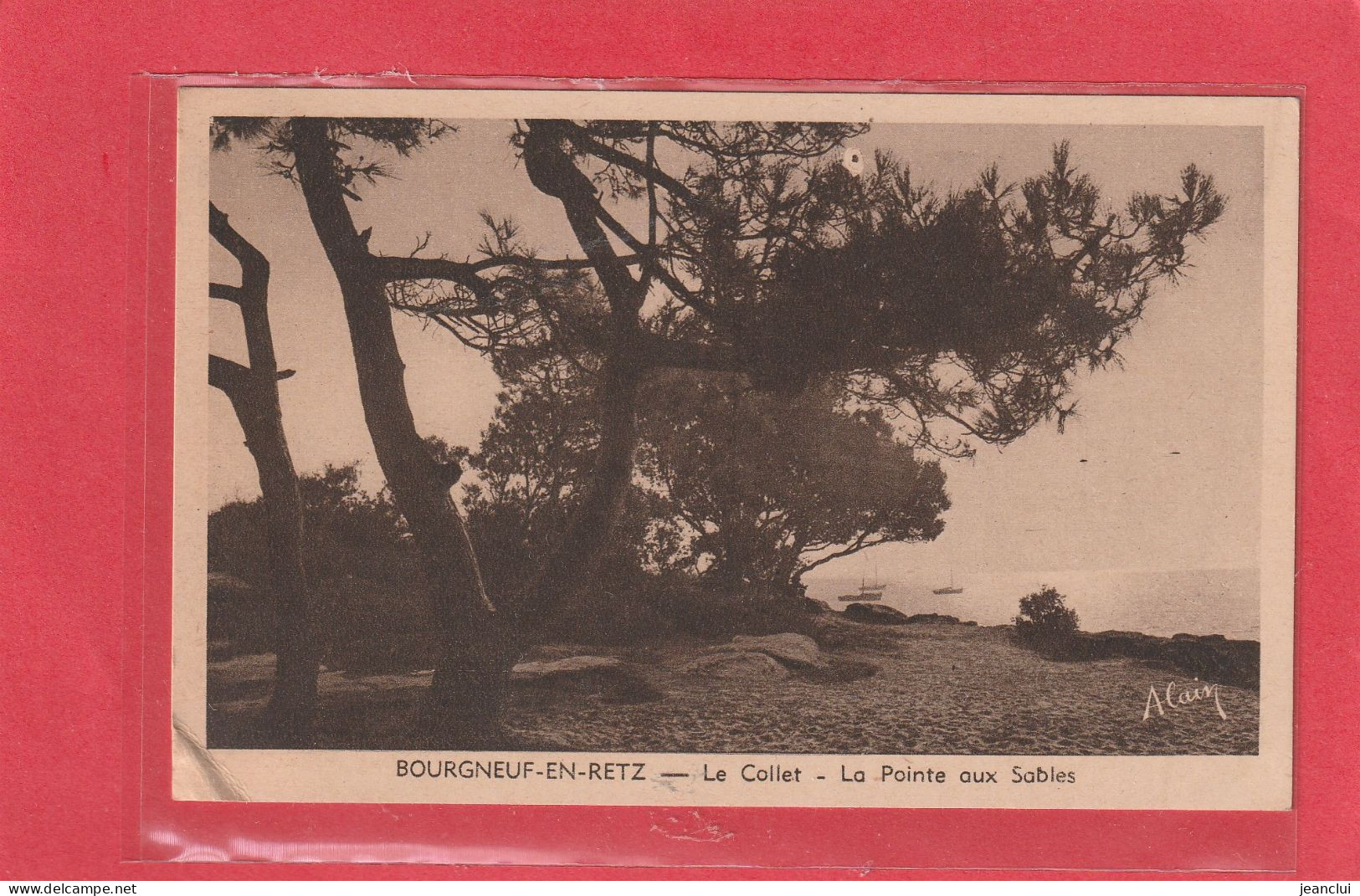 BOURGNEUF-EN-RETZ . LE COLLET . LA POINTE AUX SABLES . CARTE NON ECRITE - Bourgneuf-en-Retz