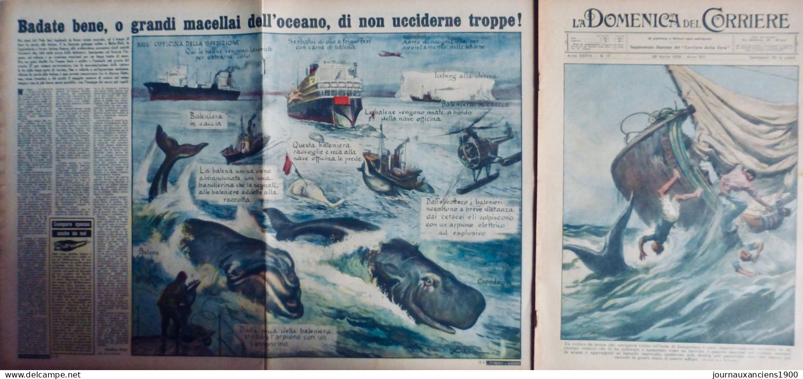 1955 BALEINE  2 JOURNAUX ANCIENS - Non Classés