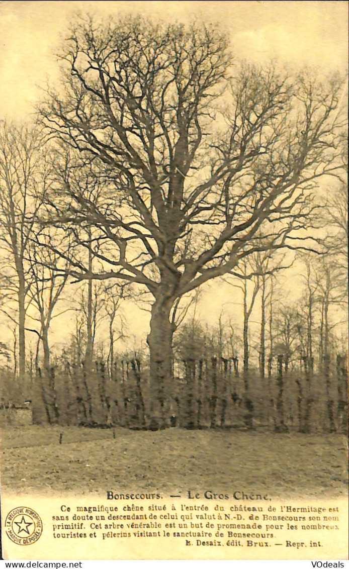 Belgique - Hainaut - Bonsecours - Le Gros Chêne - Péruwelz