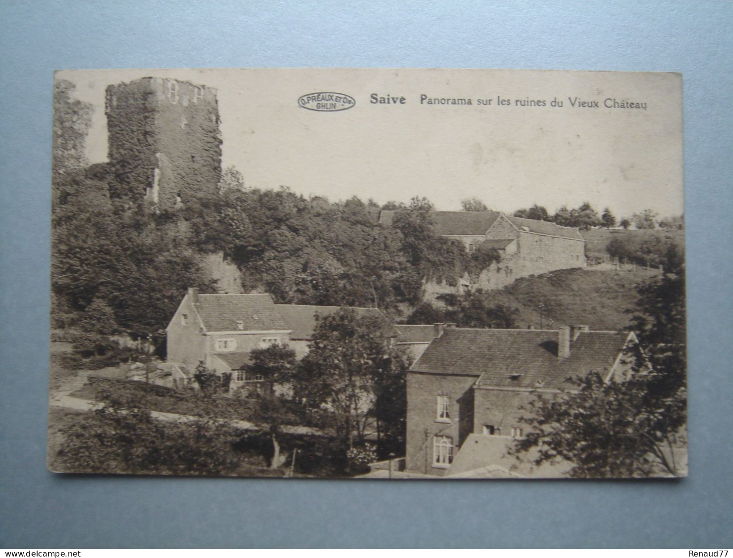 Saive - Panorama Sur Les Ruines Du Vieux Château (Blégny) - Blégny