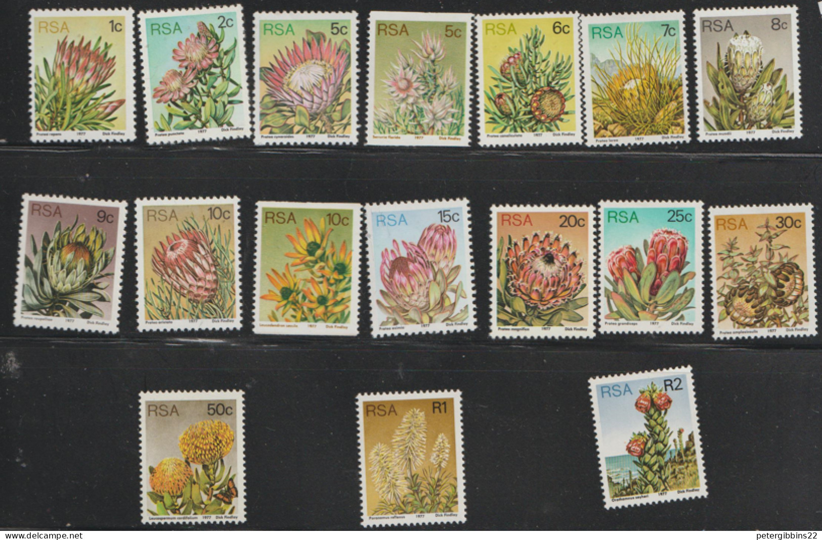 South Africa  1977  Succulents  Various Values  Unmounted Mint - Unused Stamps