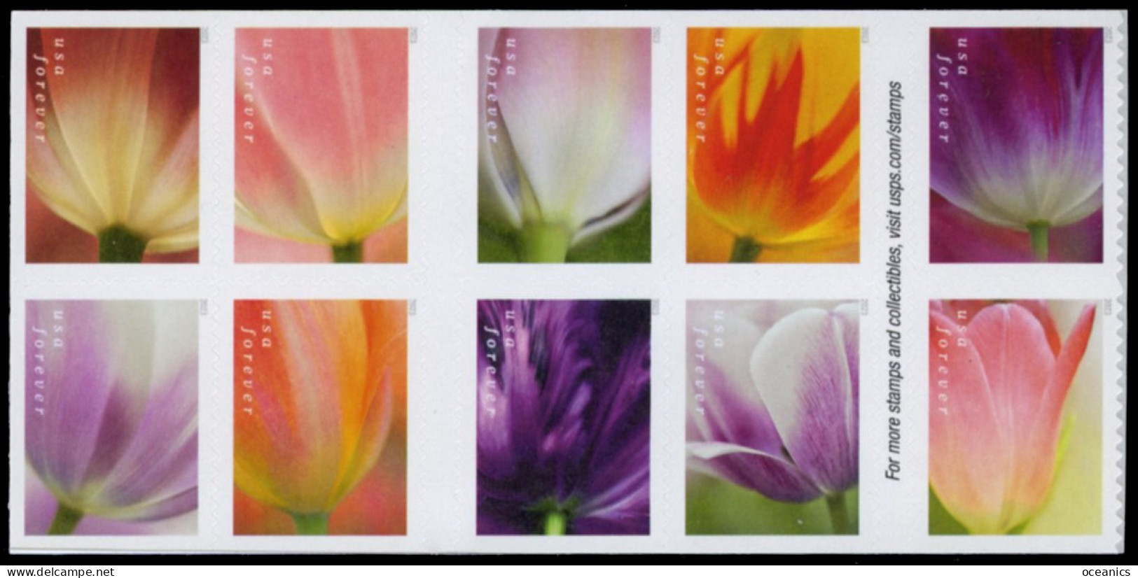 Etats-Unis / United States (Scott No.5786a - Tulips) [**] Bloc Of 10 - Unused Stamps