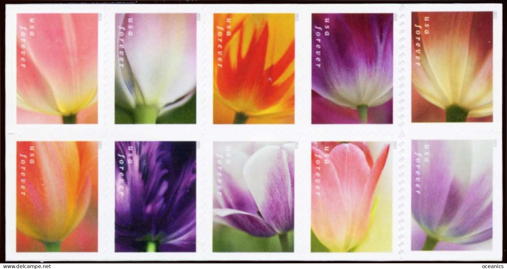 Etats-Unis / United States (Scott No.5786a - Tulips) [**] Bloc Of 10 Back Side - Unused Stamps