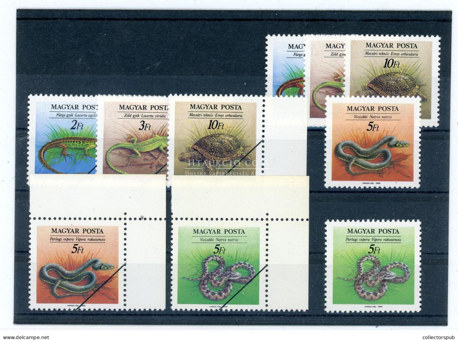 1989. Hüllők Sor Minta, A Két Tévnyomattal - Used Stamps