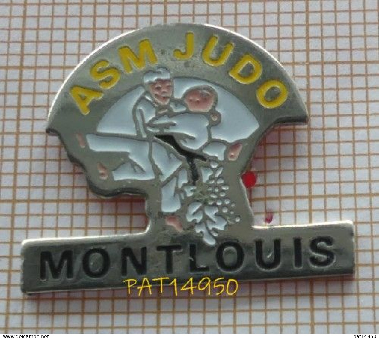 PAT14950 ASM JUDO MONTLOUIS Dpt 37 INDRE & LOIRE - Judo