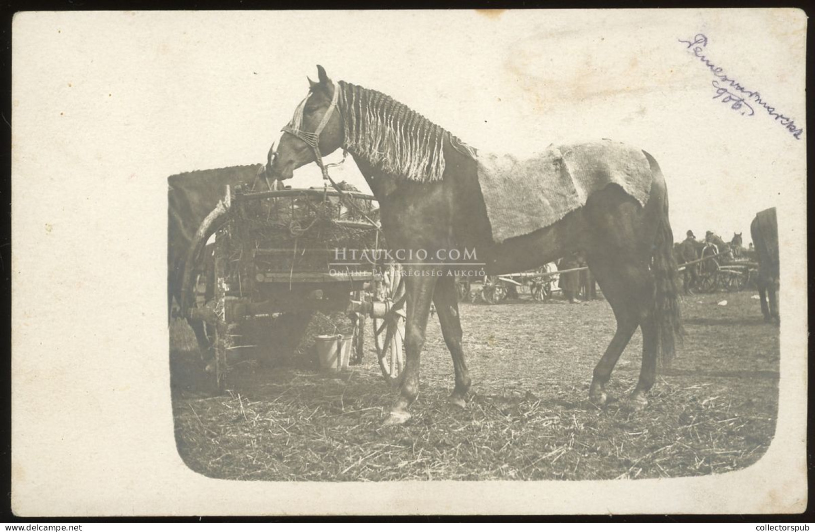 Mezőgazdaság, 4db jó reál fotós képeslap ca. 1910