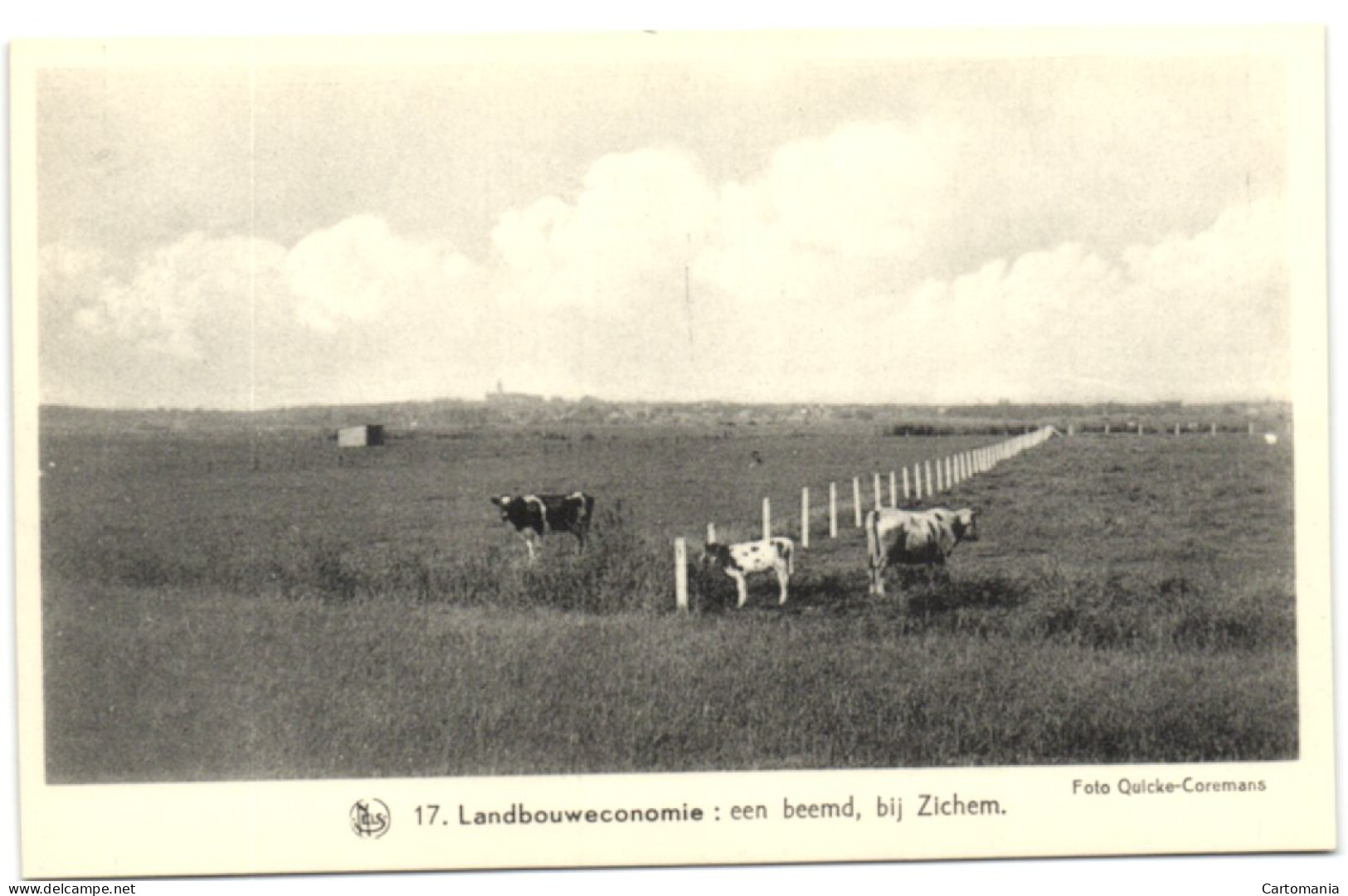 Zichem - Een Beemd - Sangerhausen