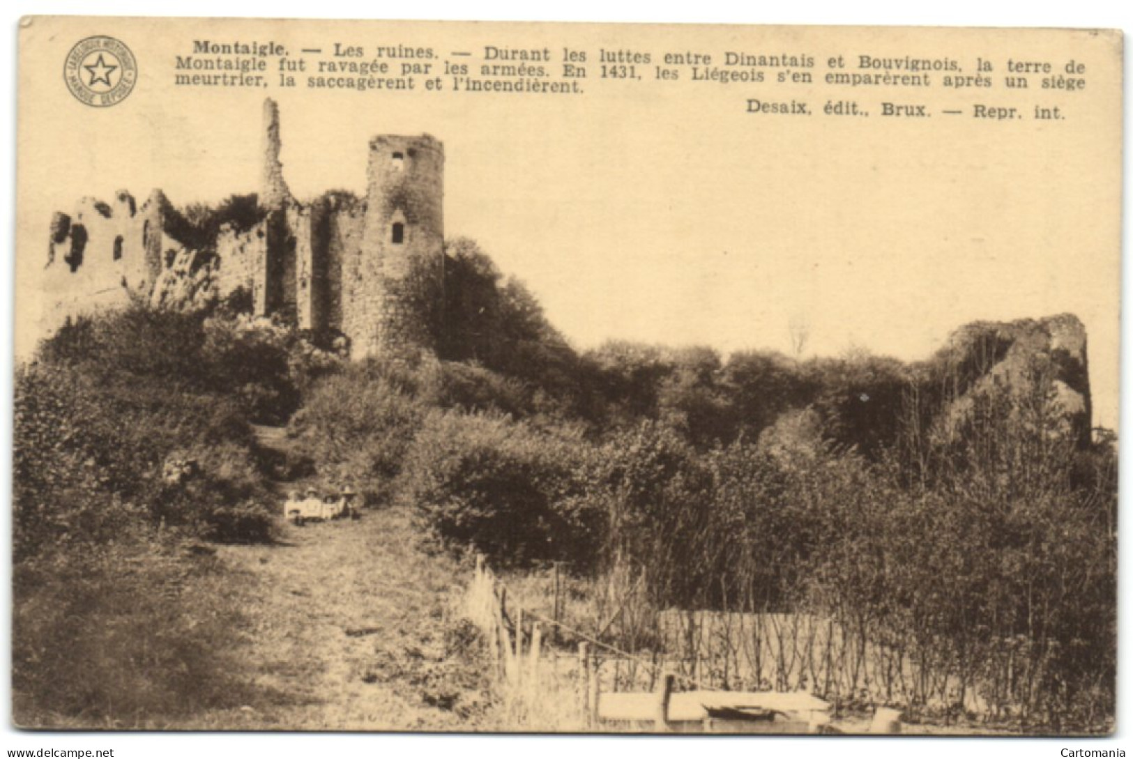 Montaigle - Les Ruines - Onhaye