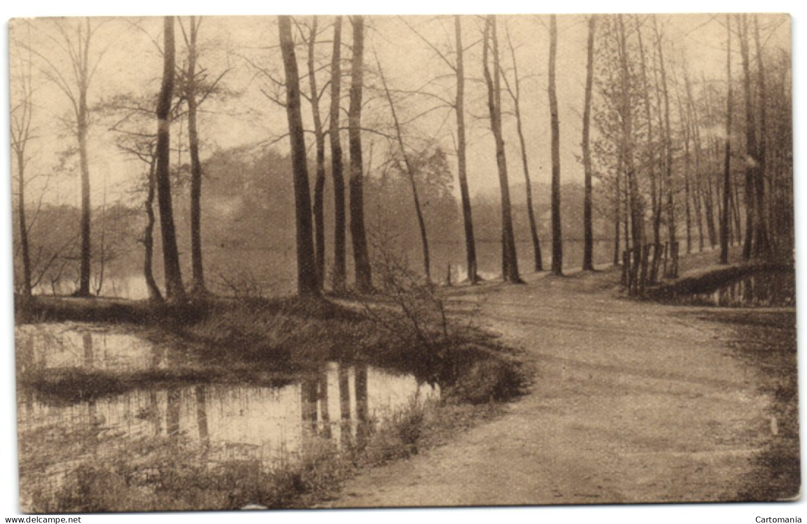 Forêt De Soignes - Les étangs De Rouge-Cloître - Oudergem - Auderghem