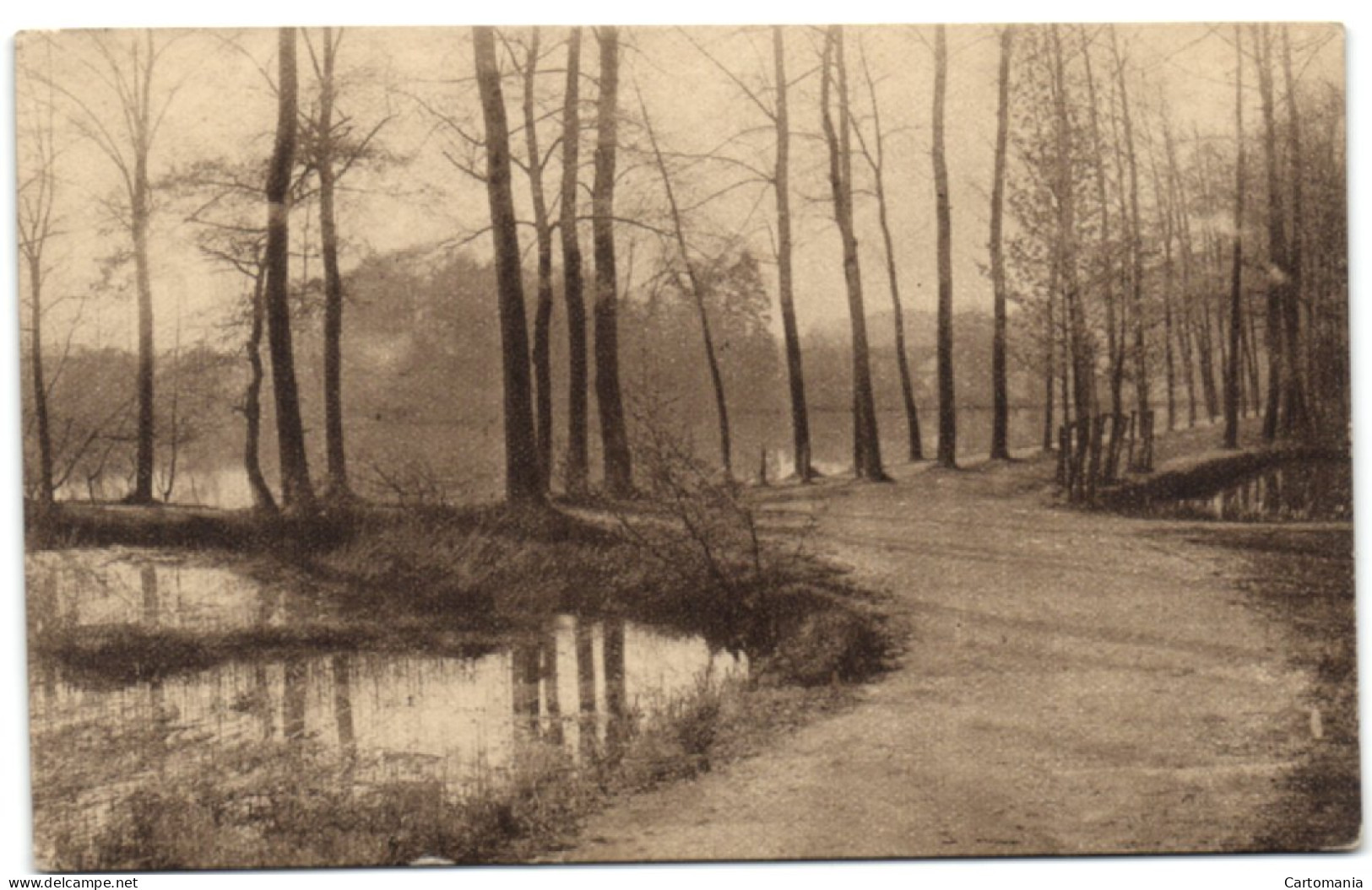 Forêt De Soignes - Les étangs De Rouge-Cloître - Auderghem - Oudergem