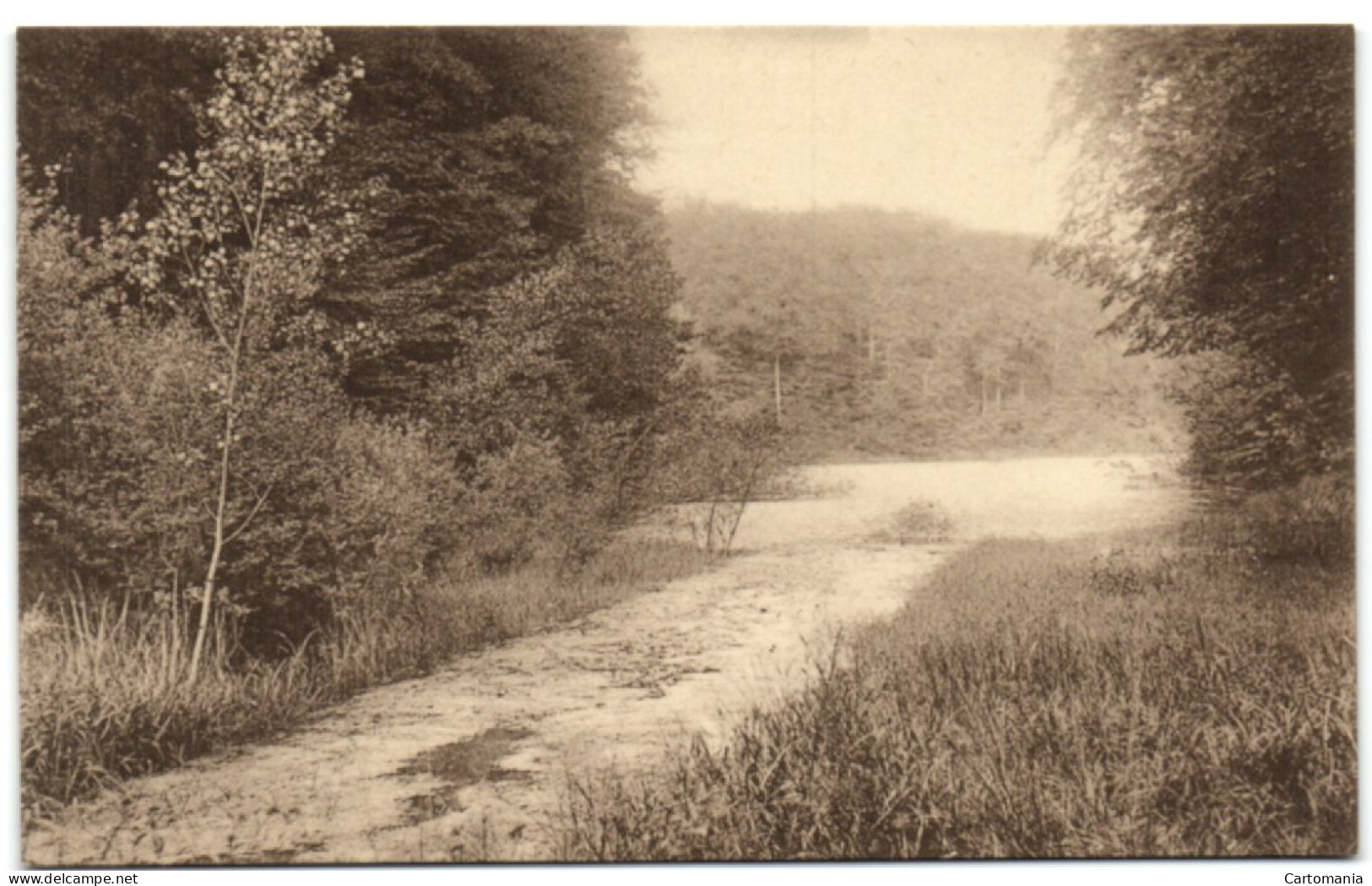 Forêt De Soignes - Etang De La Patte D'Oie - Oudergem - Auderghem