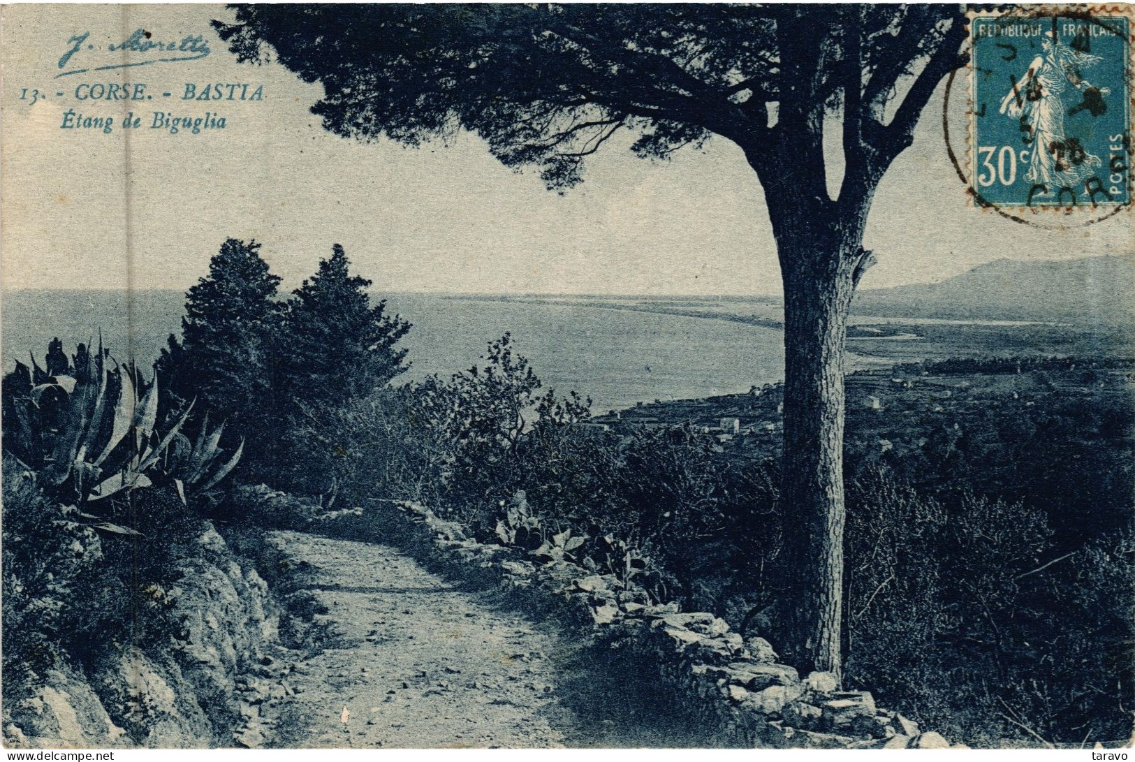 CORSE - BASTIA - L'ETANG DE BIGUGLIA Près De BORGO, FURIANI Et LUCCIANA - Bastia