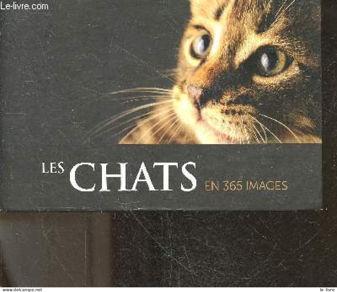 Les Chats En 365 Images - Calendrier - Sophie Le Flour - 2017 - Agendas & Calendarios