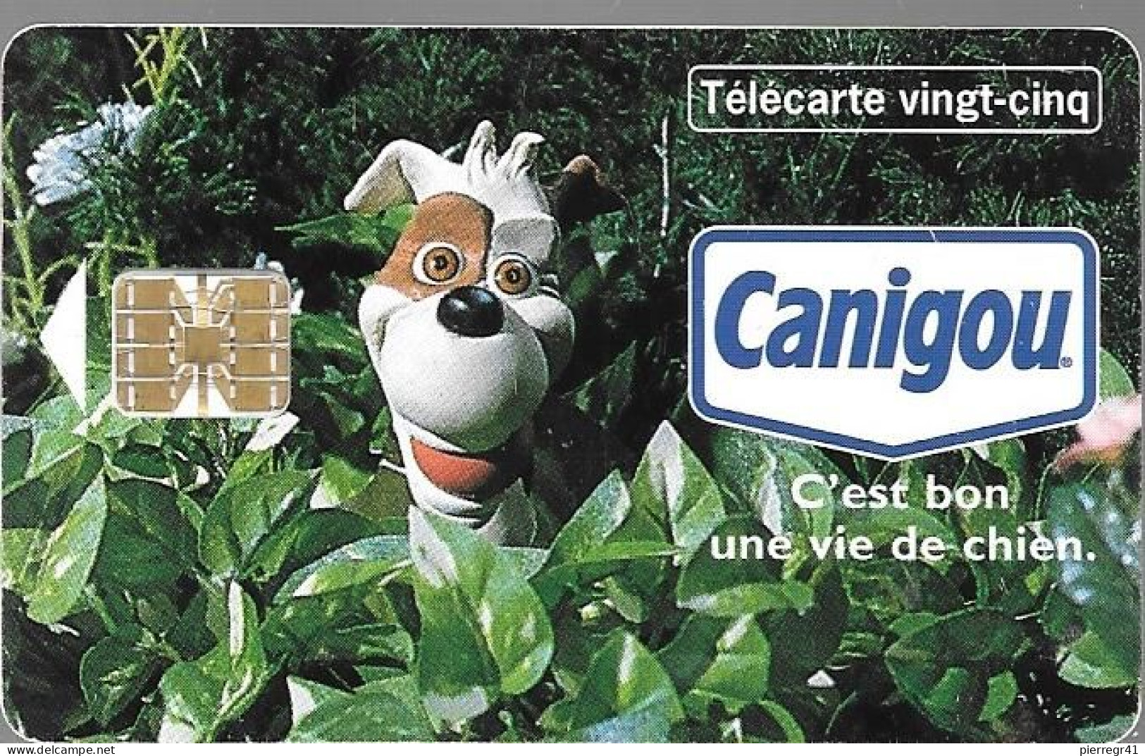 CARTE-PRIVEE-25U-HN70-SC7or-05/98-CANIGOU BUISSON-Utilisé-V°DN°C84424408-5000Ex-TBE-/Rare - 25 Unités  