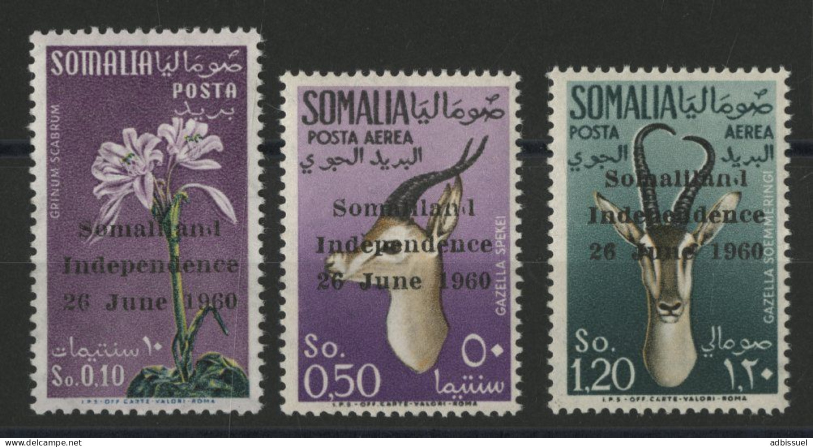 SOMALIA N° 1 + Poste Aérienne N° 1 + 2 Cote 105 € Neufs Sans Charnière ** (MNH) Voir Description - Somalia (1960-...)