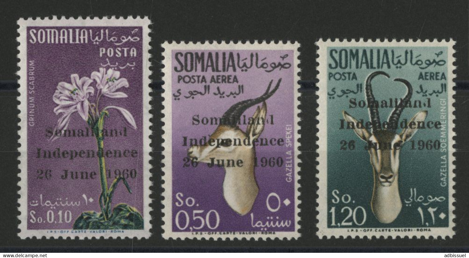 SOMALIA N° 1 + Poste Aérienne N° 1 + 2 Cote 105 € Neufs Sans Charnière ** (MNH) Voir Description - Somalie (1960-...)