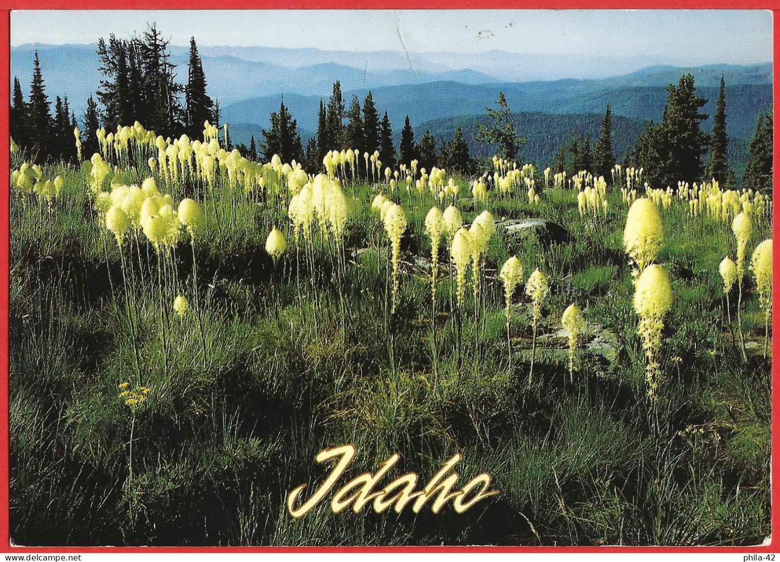 United States ( Idaho ) Beargrass In Selkirk Mountains - Written Poscard - Good Condition - Andere & Zonder Classificatie