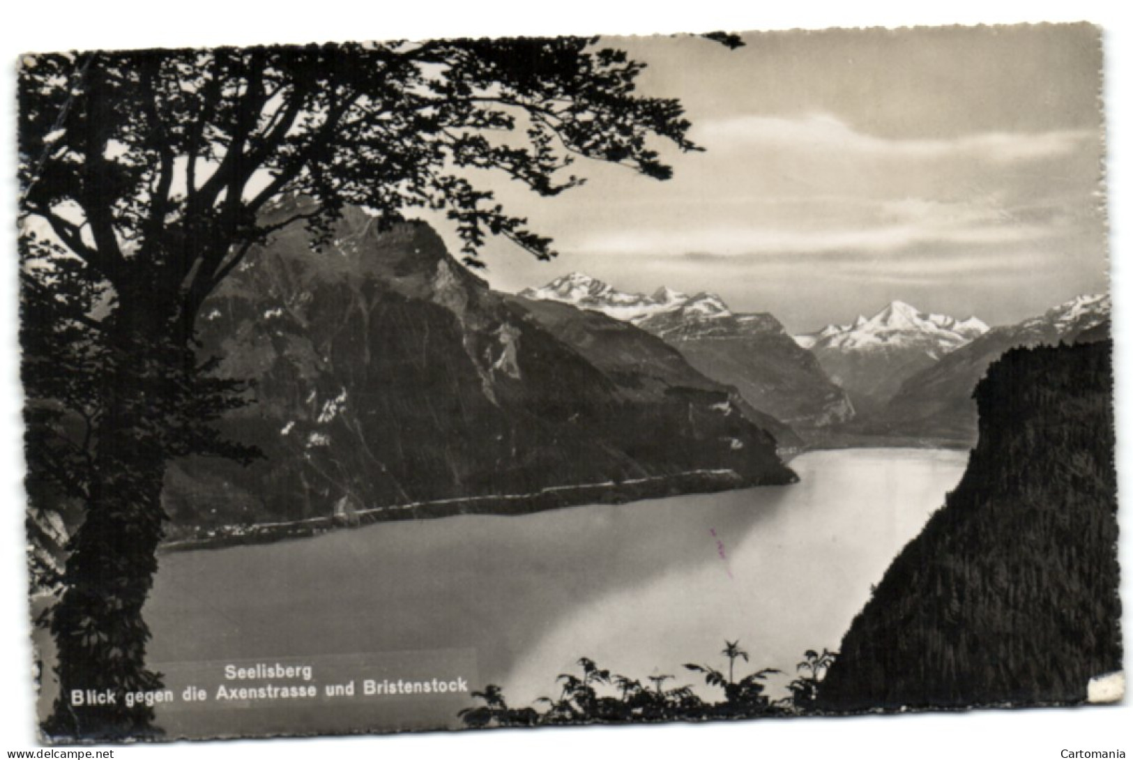 Seelisberg - Blick Gegen Die Axenstrasse Und Bristenstock - Seelisberg