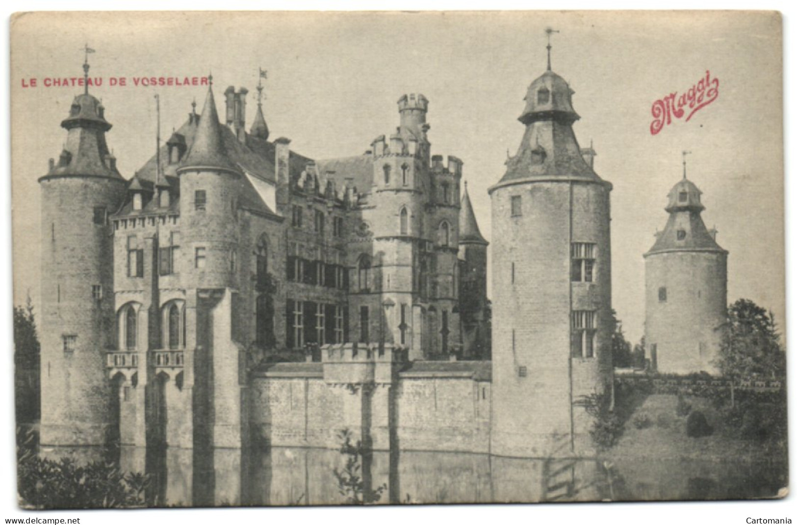 Le Château De Vosselaer - Vosselaar