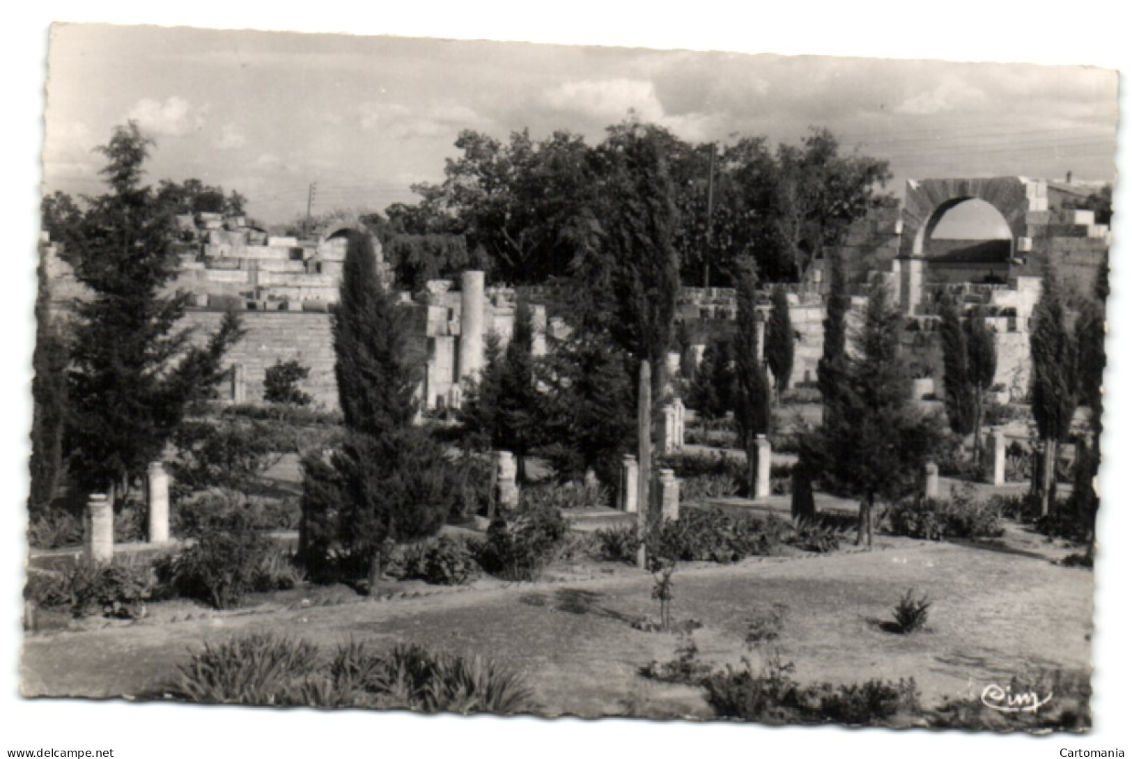 Tébessa - Vue Des Ruines Romaines De La Basilique - Tebessa