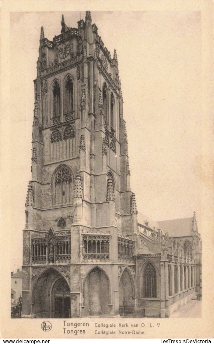 BELGIQUE - Tongres - Collégiale Notre Dame - Carte Postale Ancienne - Tongeren