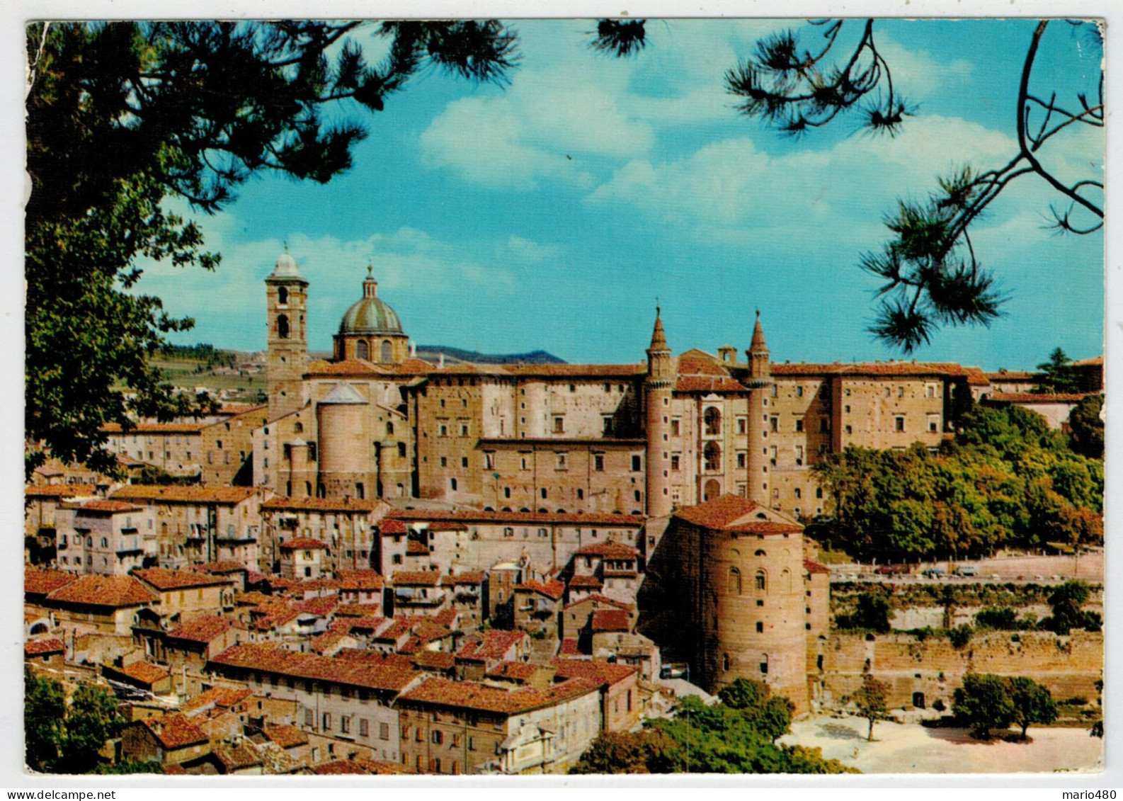 URBINO     PANORAMA      (VIAGGIATA) - Urbino