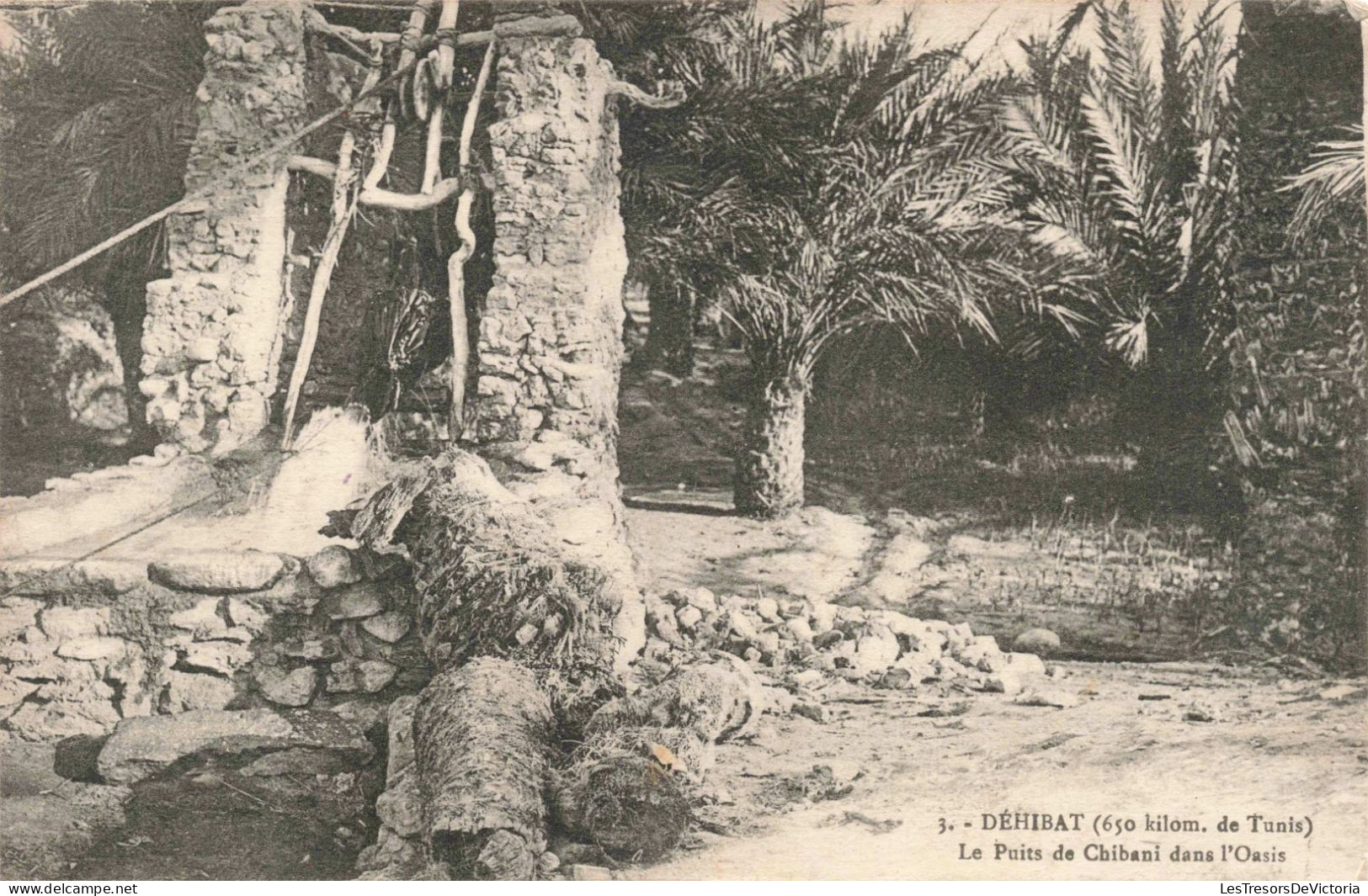 TUNISIE - Déhibat - Le Puits De Chibani Dans L'Oasis - Carte Postale Ancienne - Tunisie