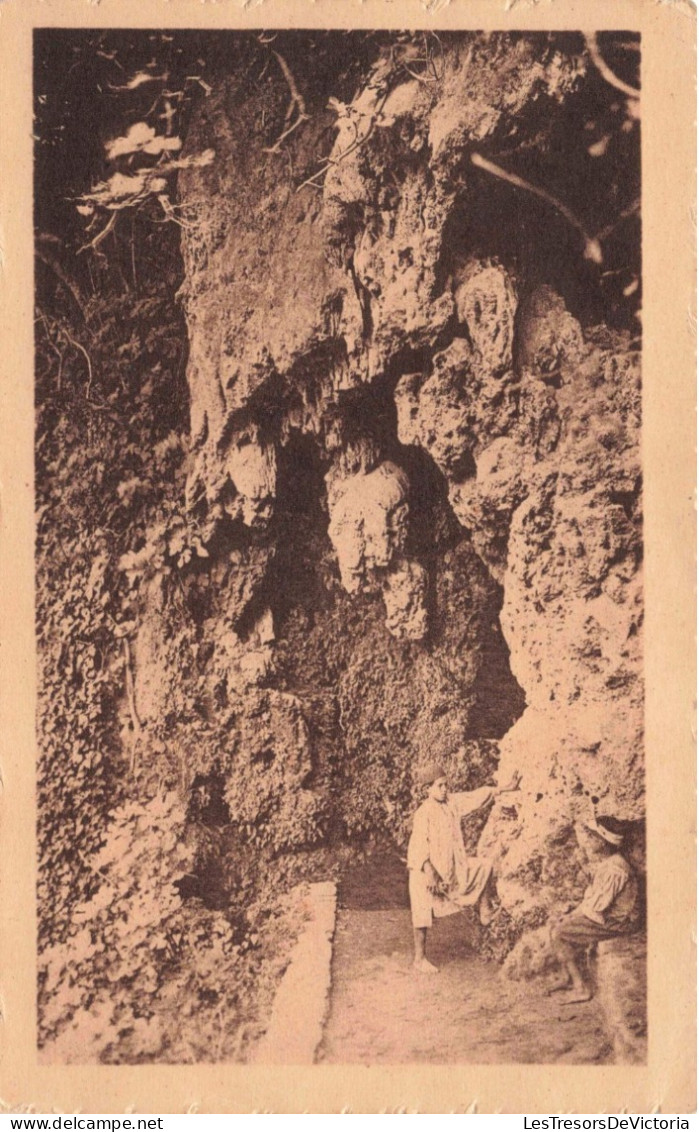 ALGERIE - Blida - Les Gorges De La Chiffa - La Grotte Du Lion - Carte Postale Ancienne - Blida