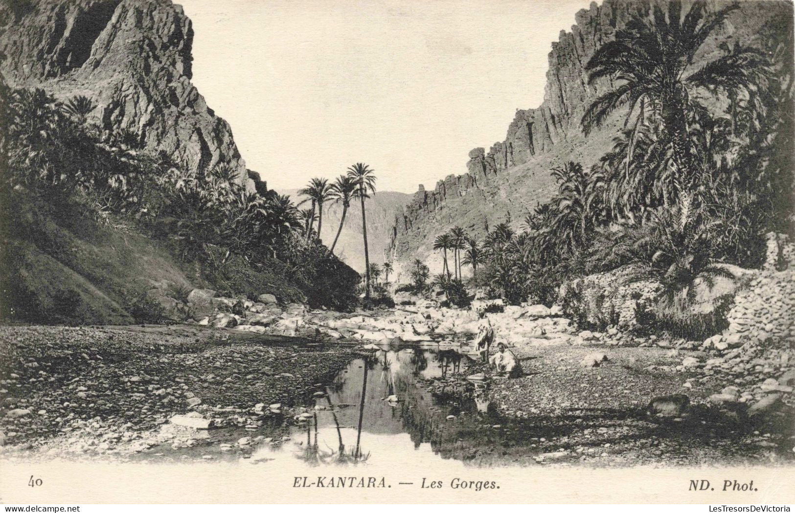 ALGERIE - Constantine - El Kantara - Les Gorges - Carte Postale Ancienne - Constantine