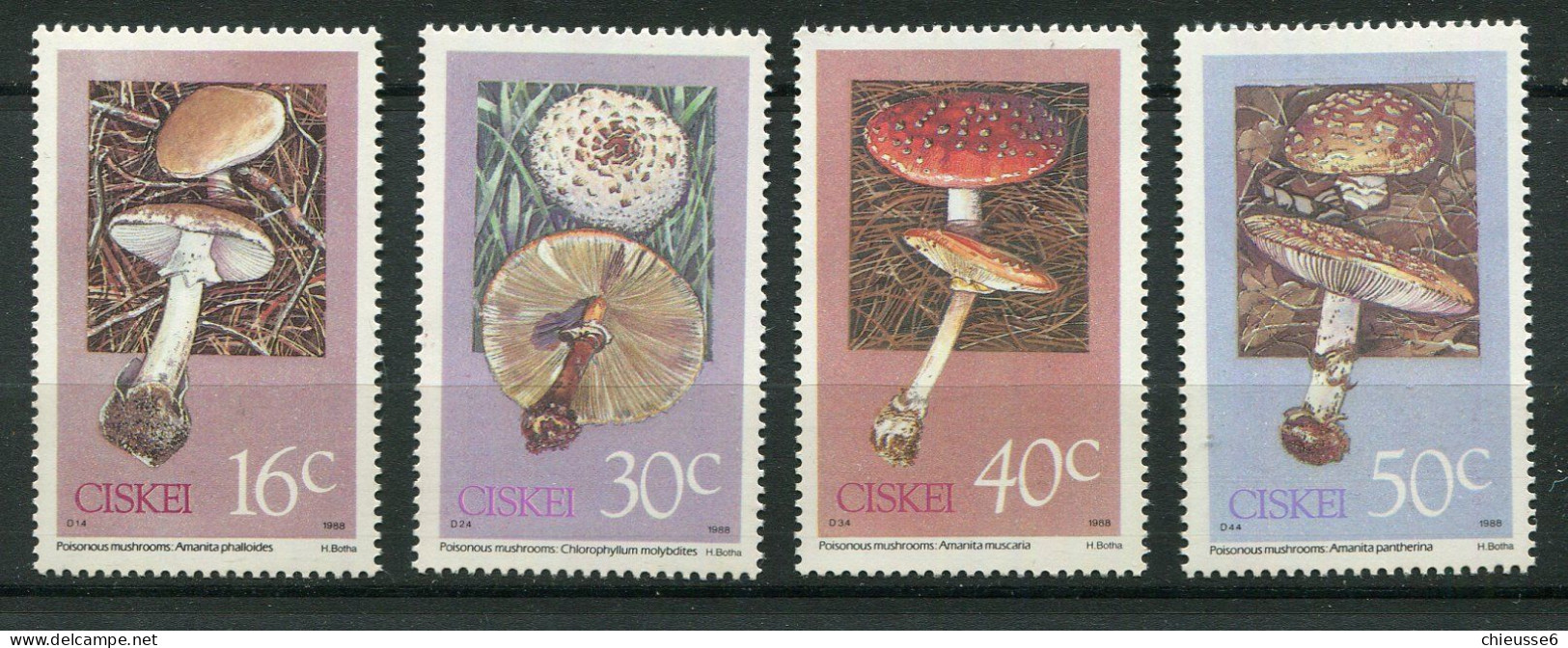 Ciskei ** N° 145 à 148 - Champignons - Ciskei