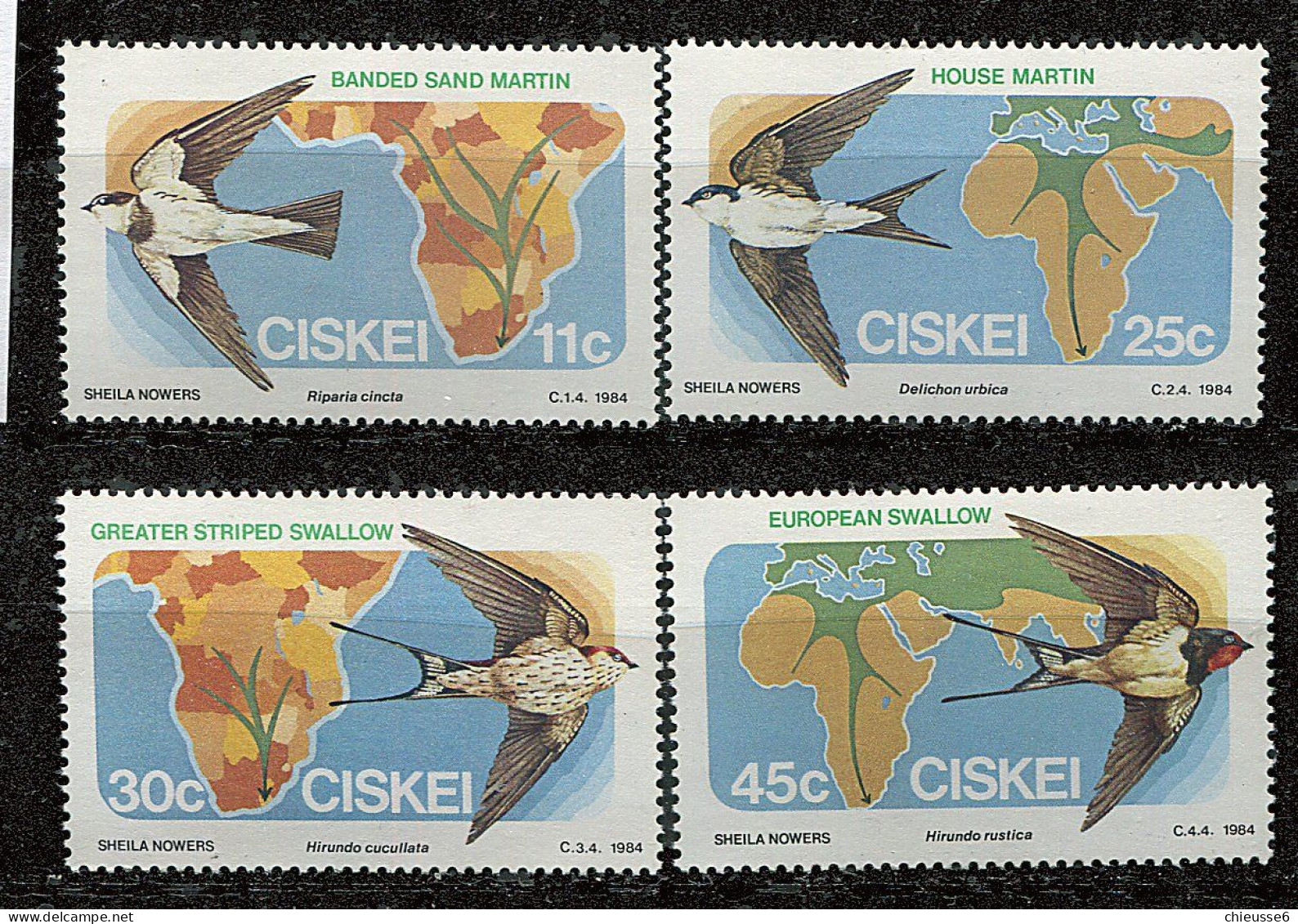 Ciskei ** N° 61 à 64 - Oiseaux Migrateurs - Ciskei