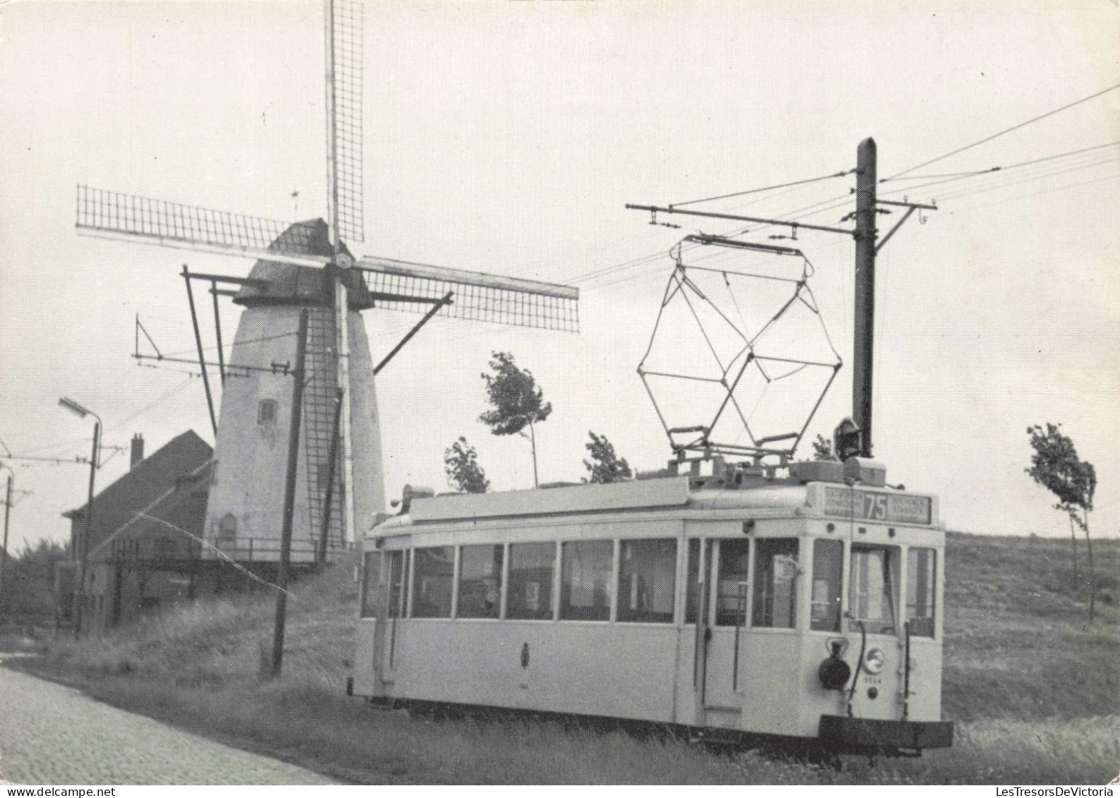 TRANSPORT - Lillo - Motrice Standart - Carte Postale Ancienne - Autres & Non Classés