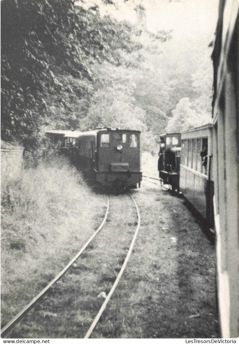 TRANSPORT - Chemin De Fer Touristique De Belgique - Carte Postale Ancienne - Tramways