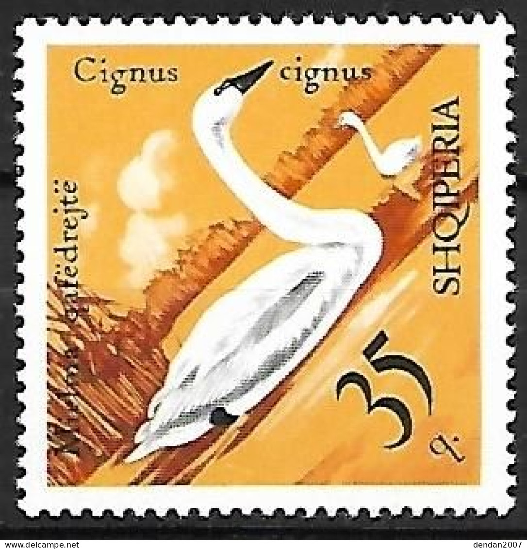 Albania - MNH ** 1975 :   Tundra Swan  -  Cygnus Columbianus - Cygnes
