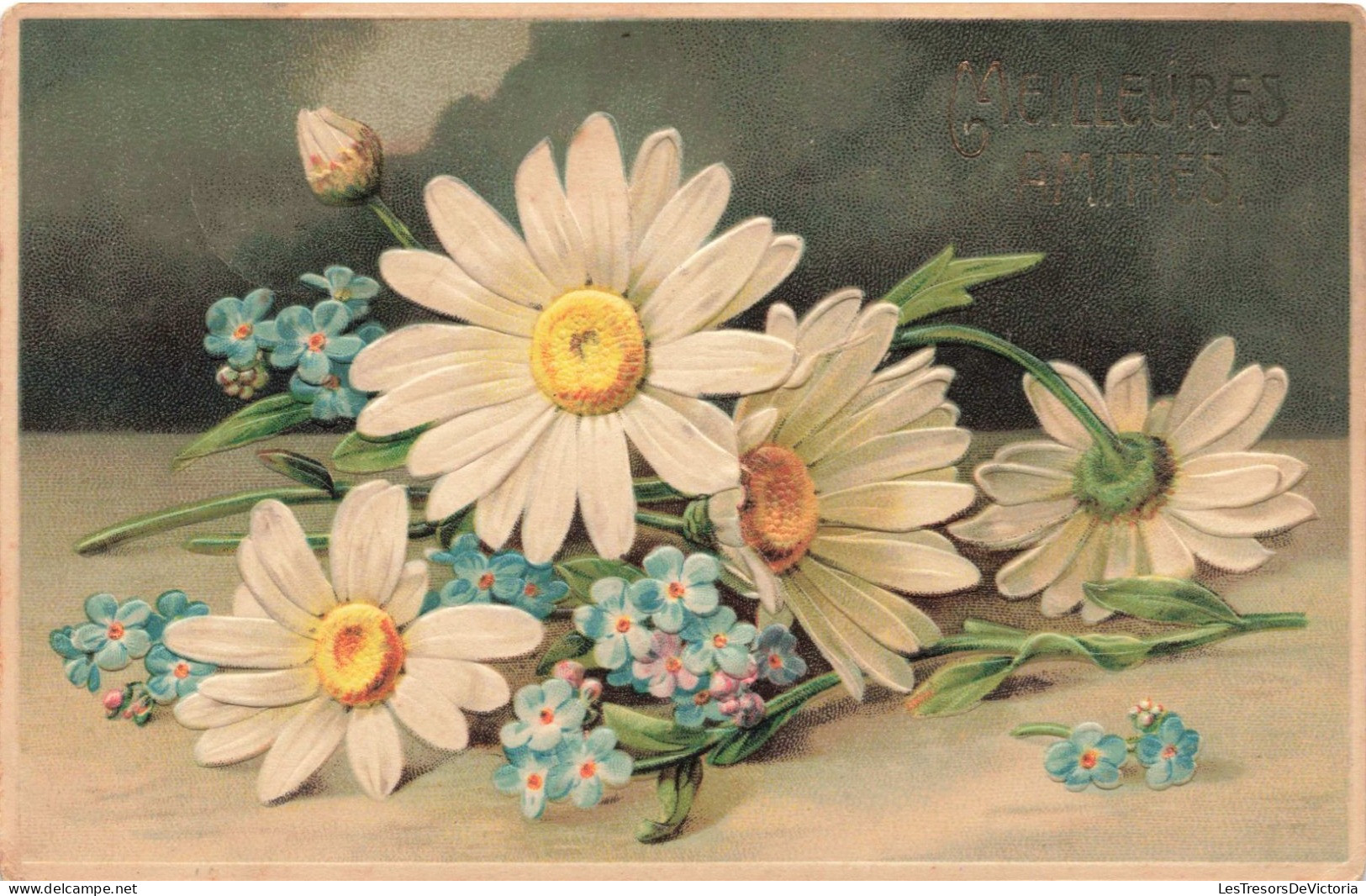 FLEURS, ARBRES, PLANTES - Fleurs - Meilleures Amitiés - Carte Postale Ancienne - Fiori