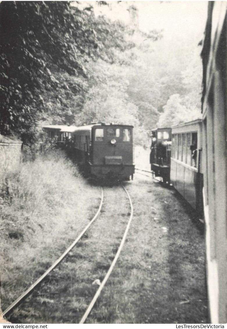 TRANSPORT - Chemin De Fer Touristique De Belgique - Ancienne Ligne SNCV  - Carte Postale Ancienne - Eisenbahnen